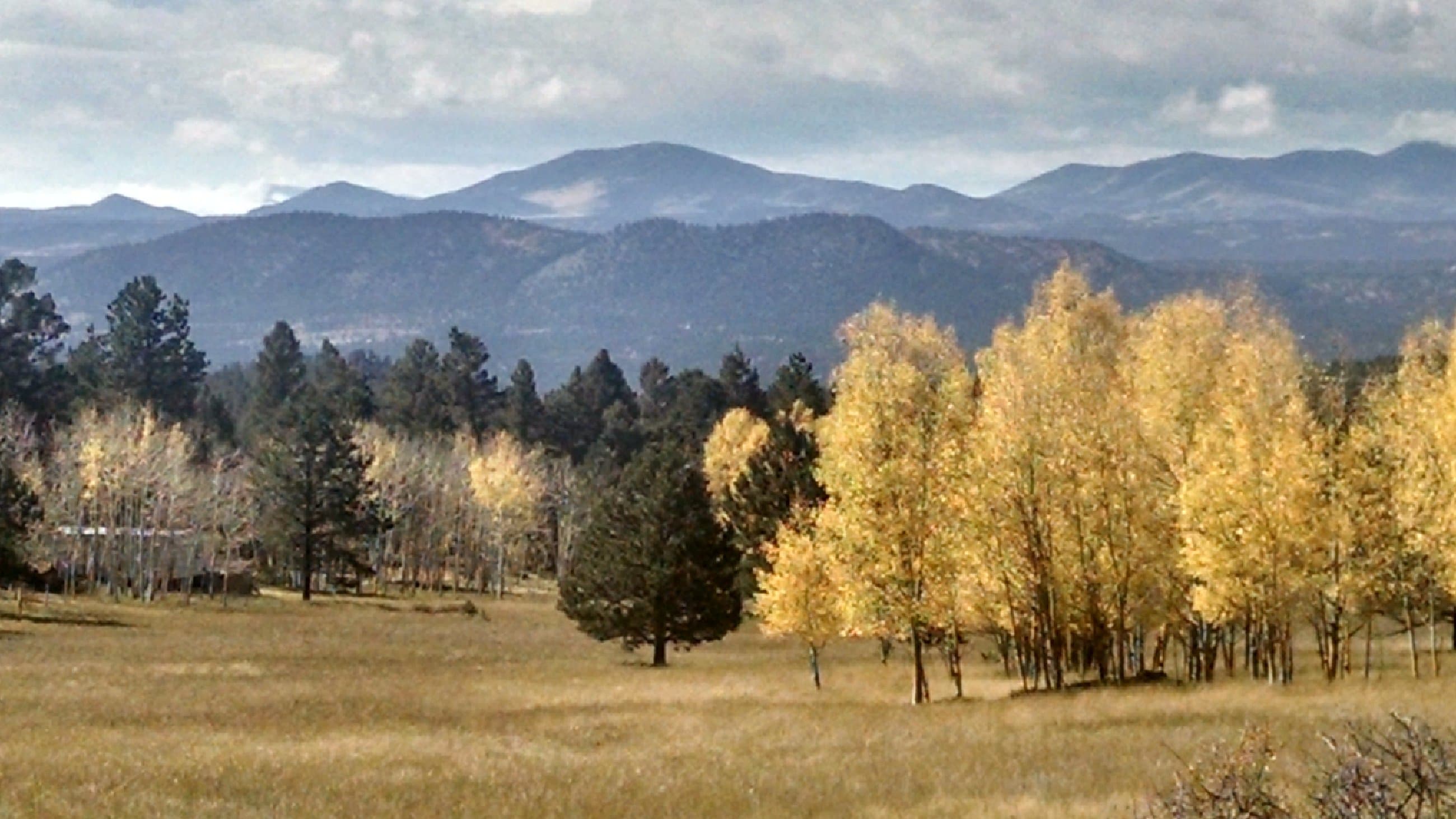Fall aspens with mountain backdrop